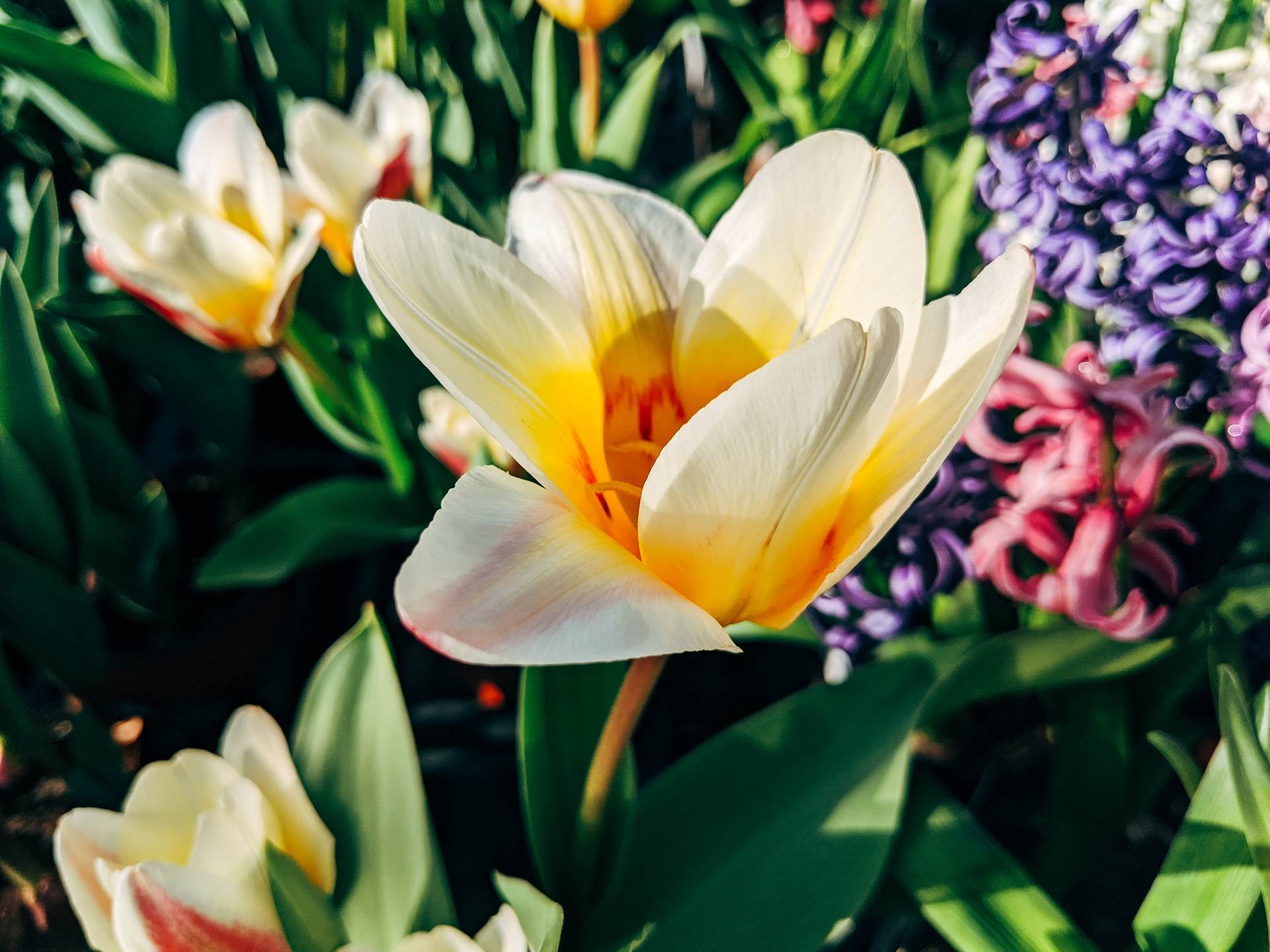 wedding-bouquet-0435