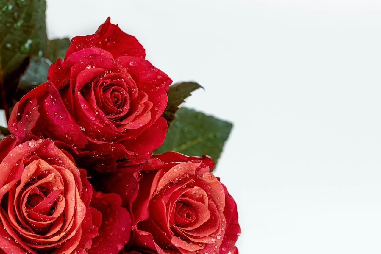 wedding-bouquet-1213