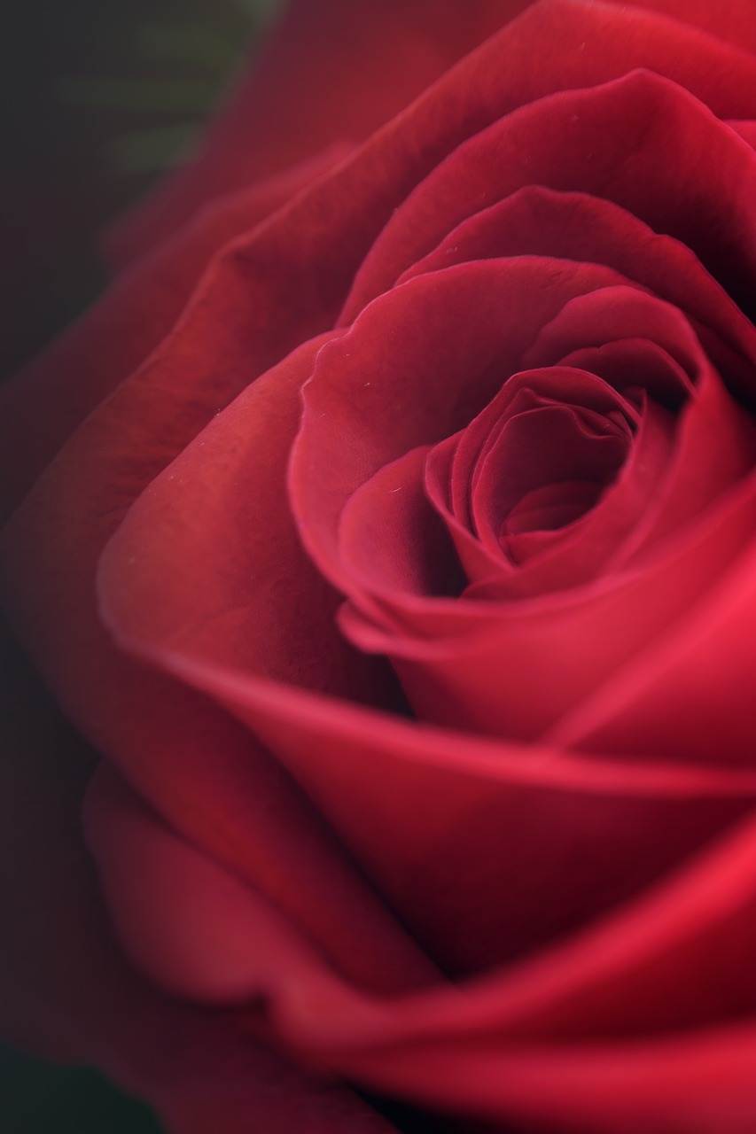 wedding-bouquet-1513