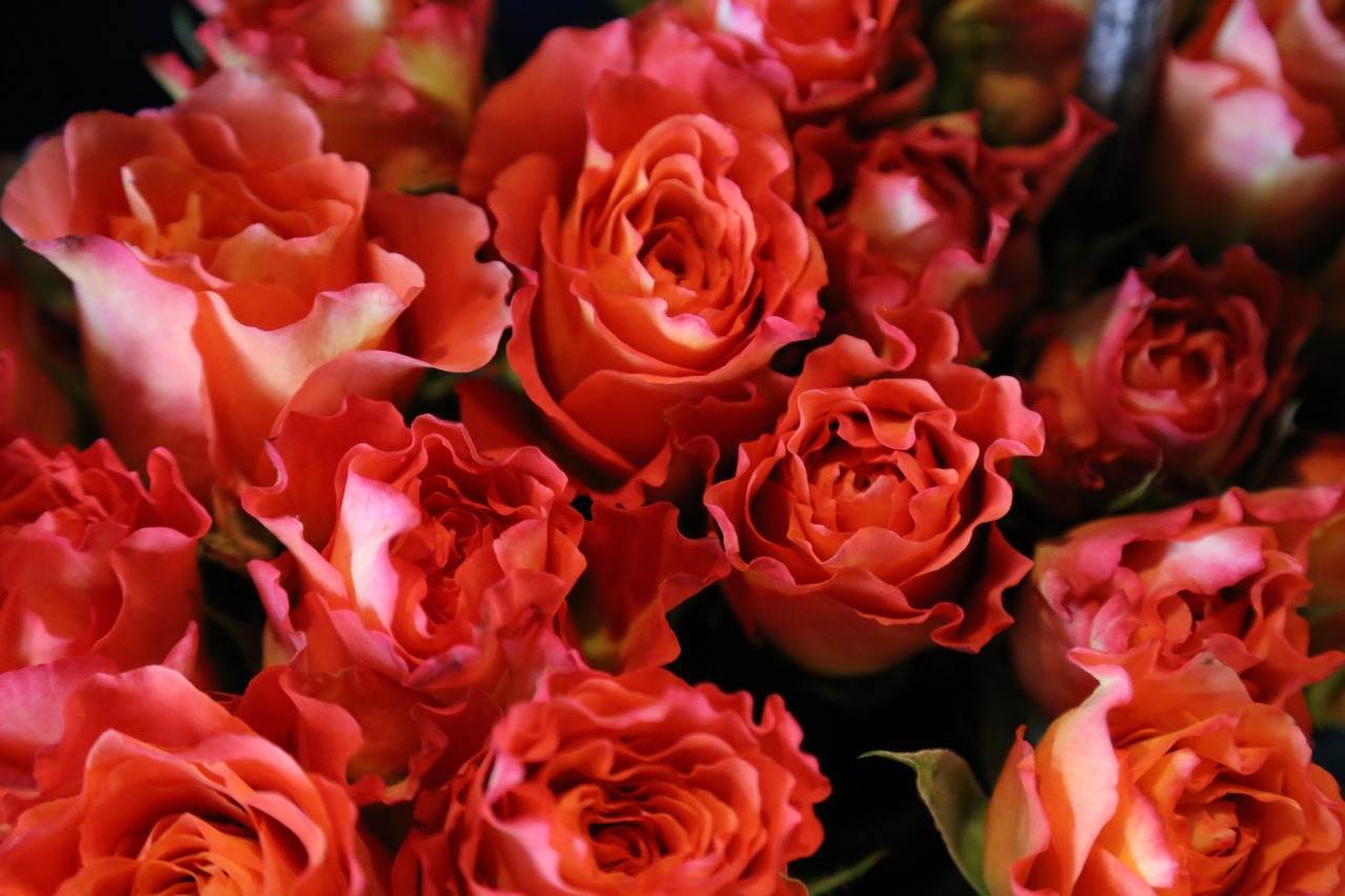 wedding-bouquet-1173