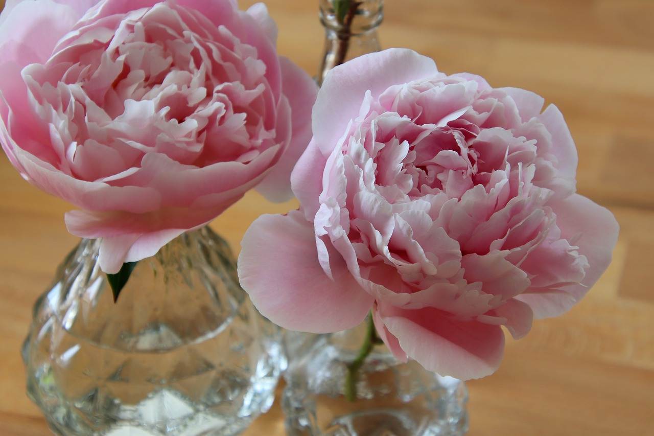 wedding-decorations-0699