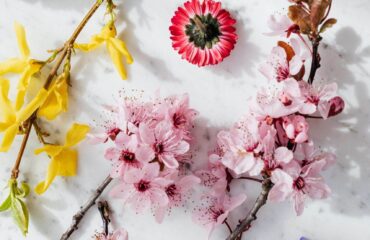 6 Super Recommendations On Bridal Bouquets Alternatives You Should Use Today