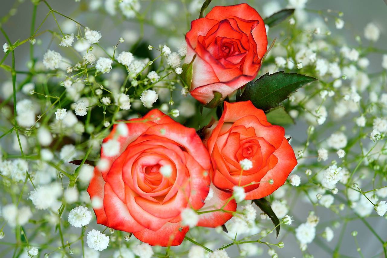 wedding-bouquet-1044