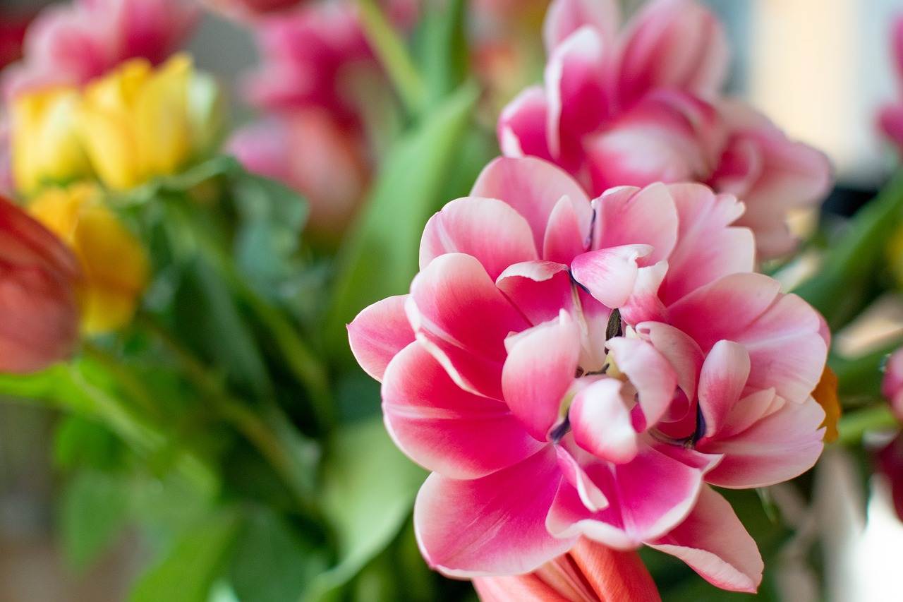 wedding-decorations-0649