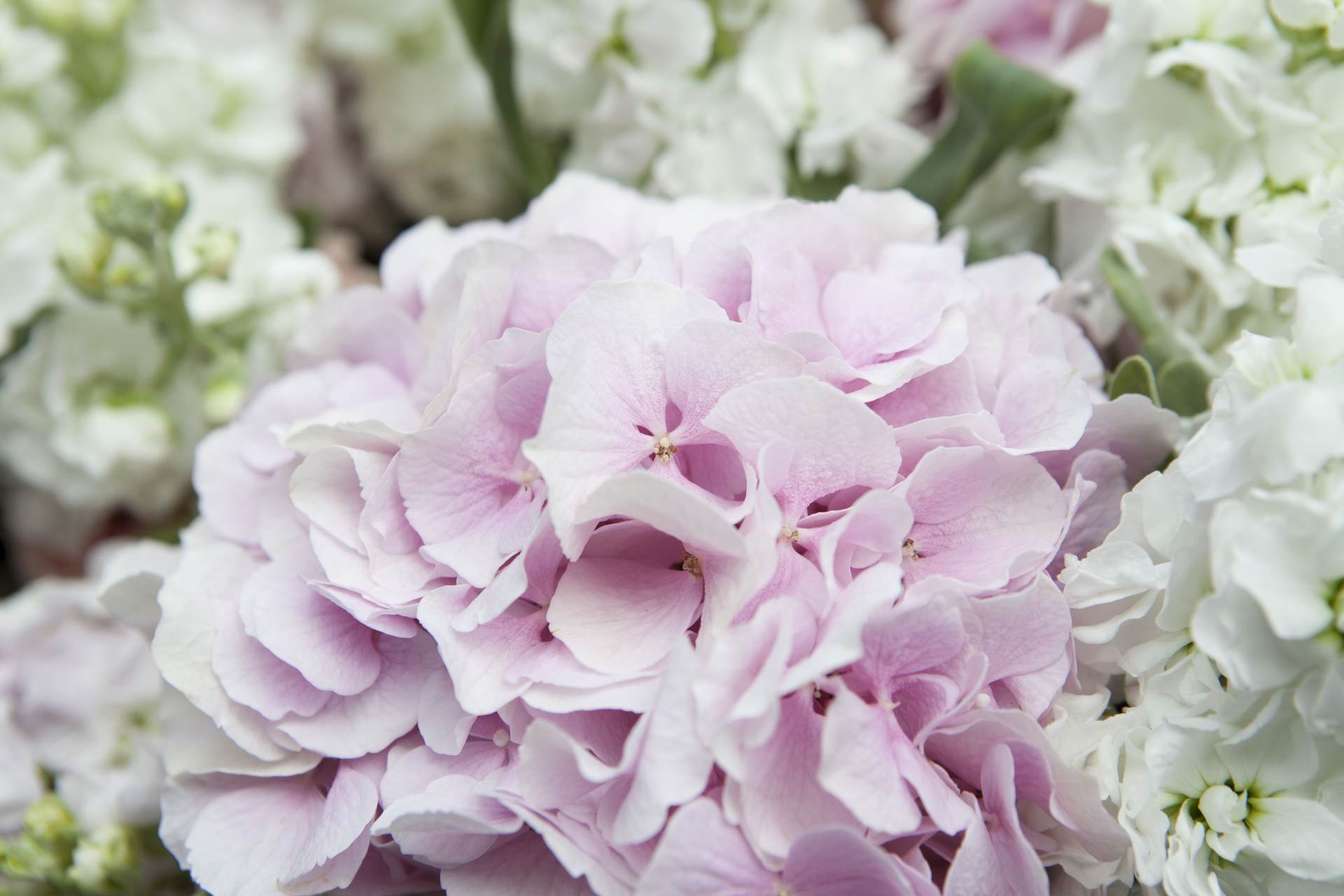 wedding-bouquet-0711