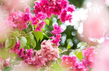 15 Ways The Absolute Most Ignored Fact About Hiring A Wedding Planner Revealed