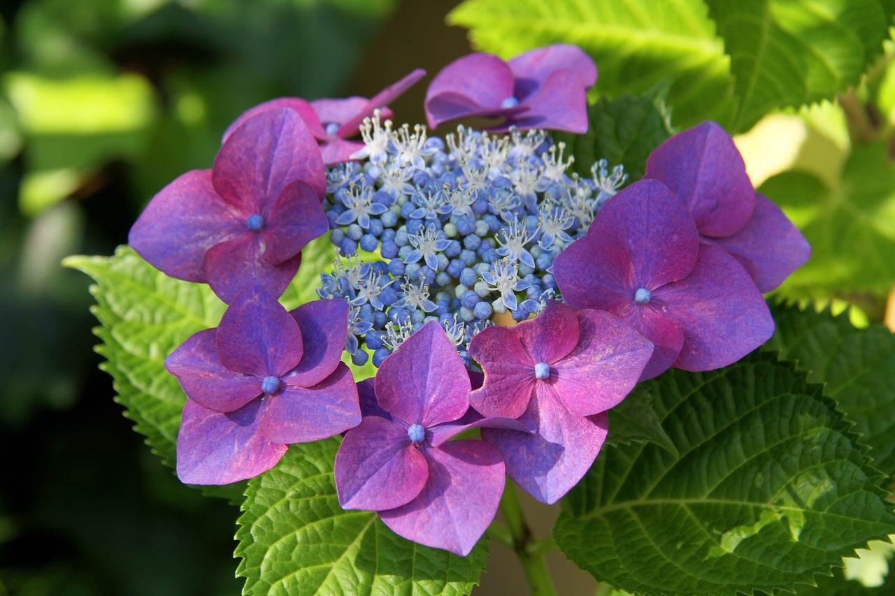 wedding-decorations-0510 wedding-decorations-0510