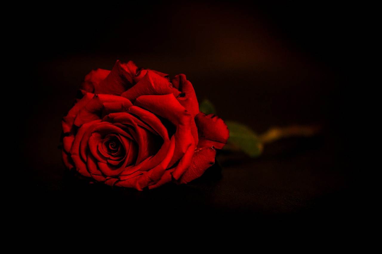 wedding-decorations-0894