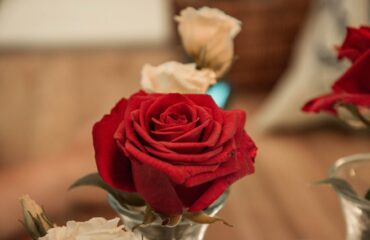 15 Most The Brand New Perspective On Wedding Decorations Just Released