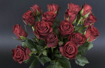 13 Trendiest The Close-Guarded Strategies Of Bridal Bouquets Alternatives Found