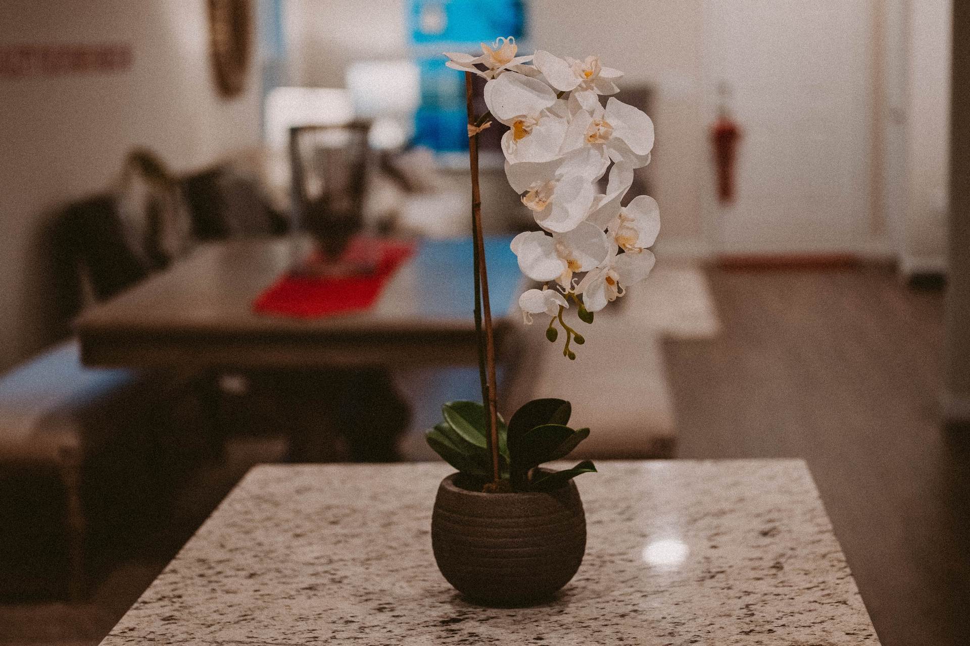 wedding-bouquet-0396