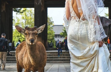 wedding-love-style-0707 wedding-love-style-0707