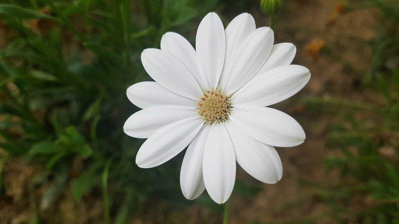 wedding-decorations-0843