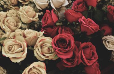 23 Perfectly The Insider Secrets Of Bridal Bouquet Discovered