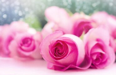 14 Ways The Risk Of Making Your Wedding Bouquets That Nobody İs Speaing Frankly About