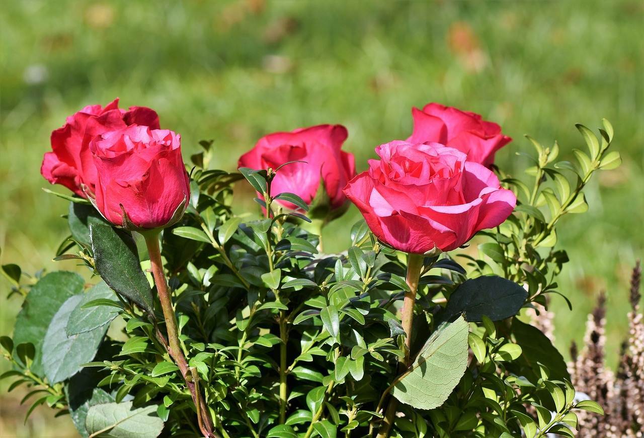 wedding-bouquet-0984 wedding-bouquet-0984