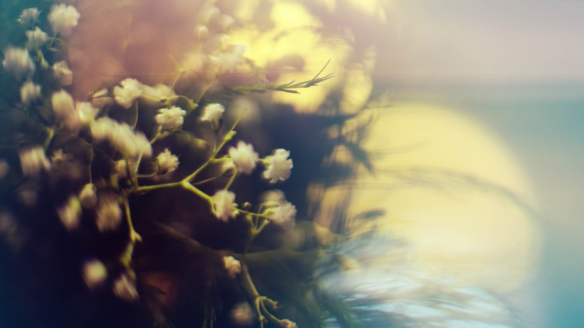 wedding-bouquet-0690