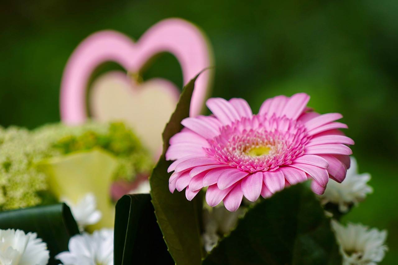 wedding-decorations-0780 wedding-decorations-0780