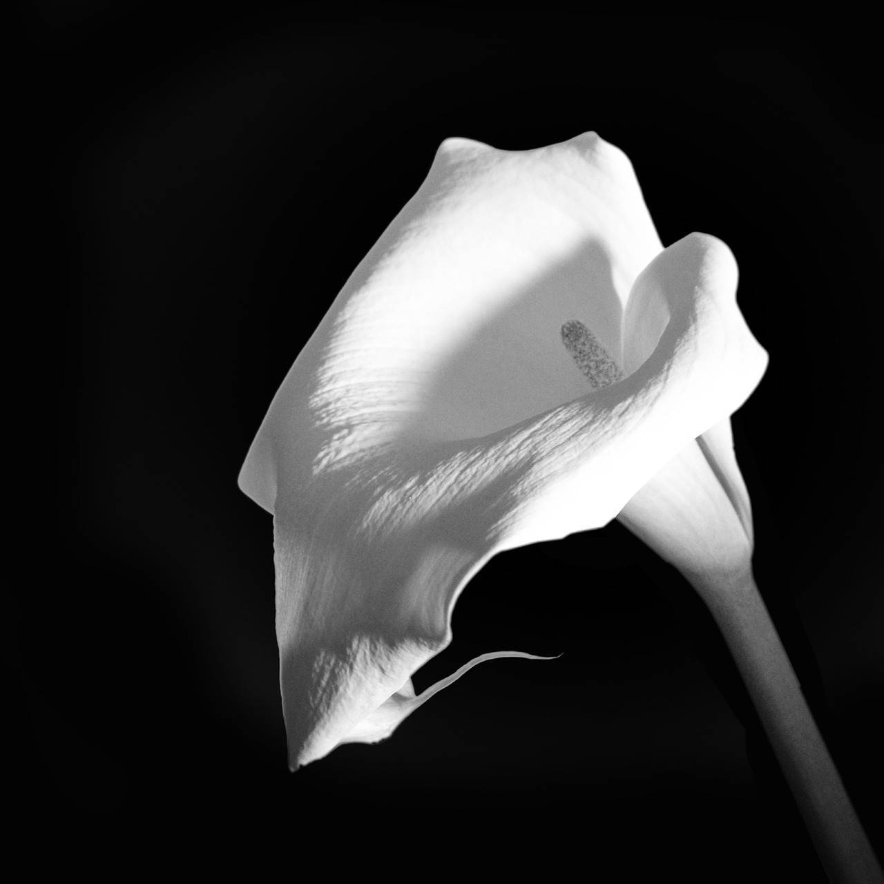 wedding-decorations-0869