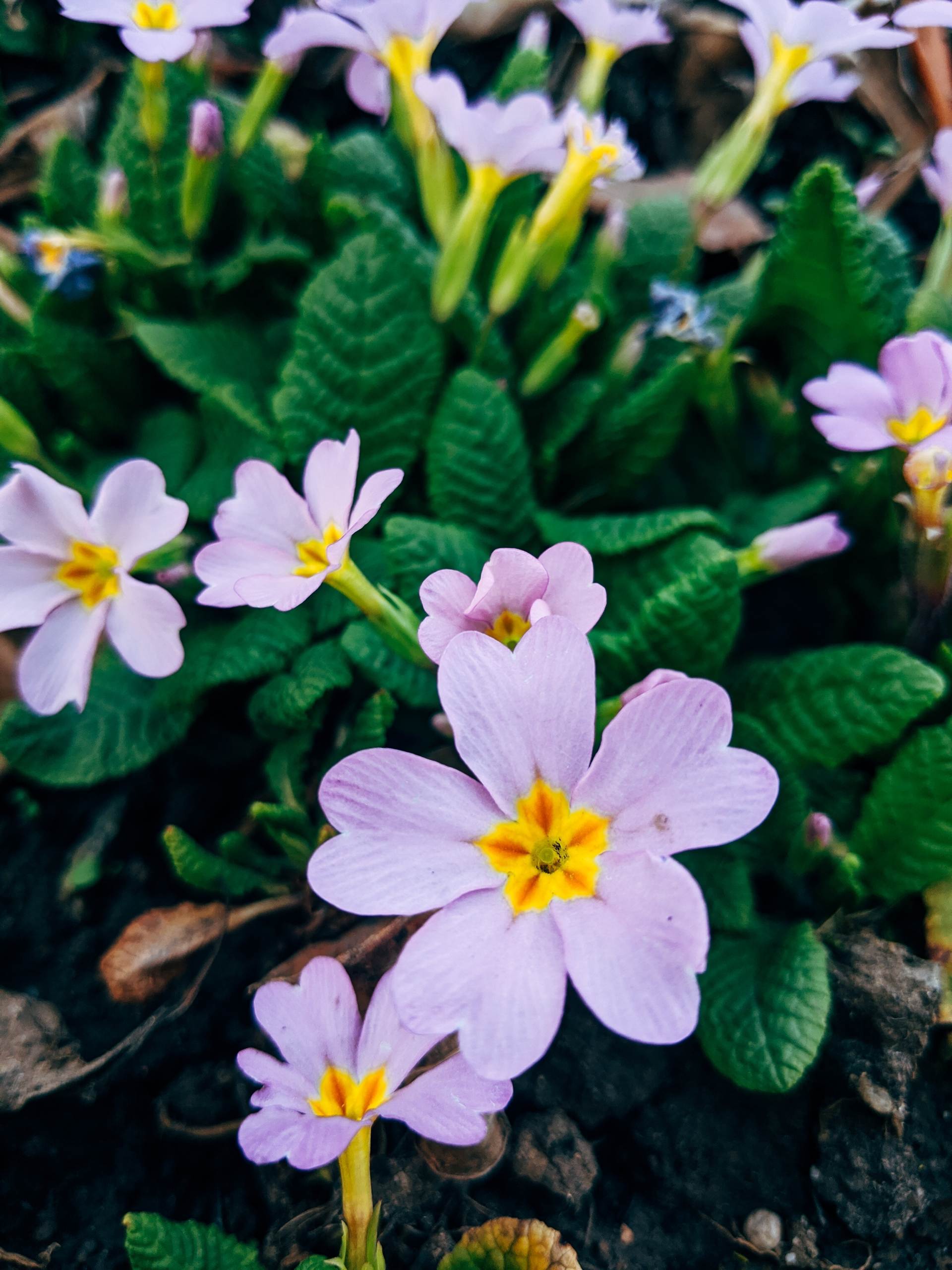 wedding-bouquet-0183