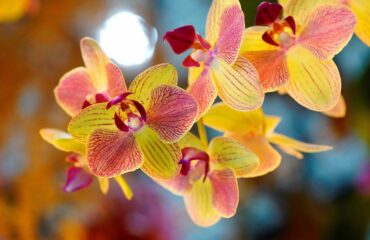 18 Perfect Wedding Bouquet How To Make The Right Choice For Dummies