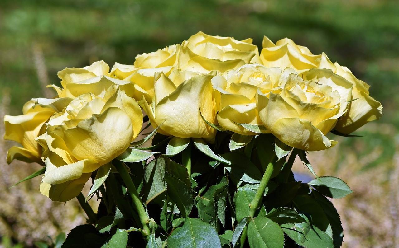 wedding-bouquet-1069