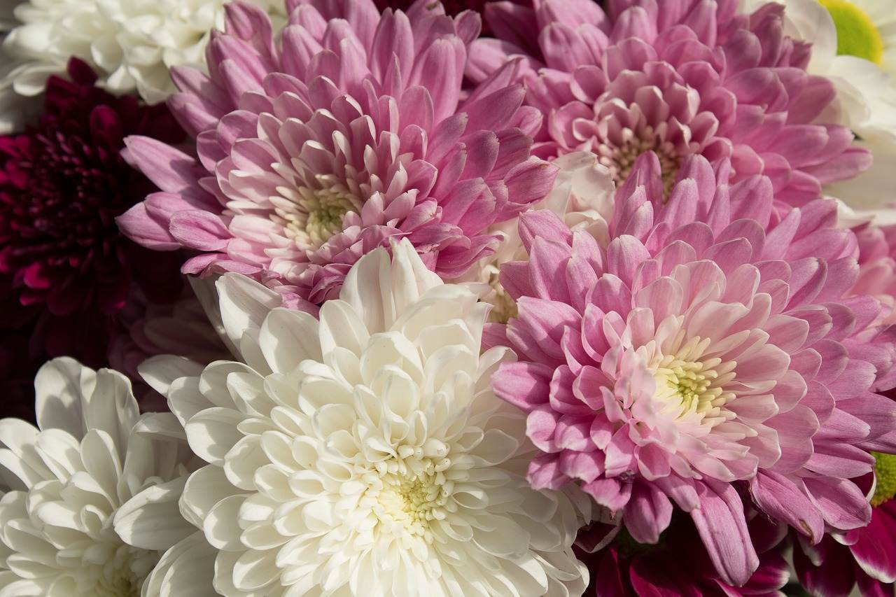 wedding-decorations-0497