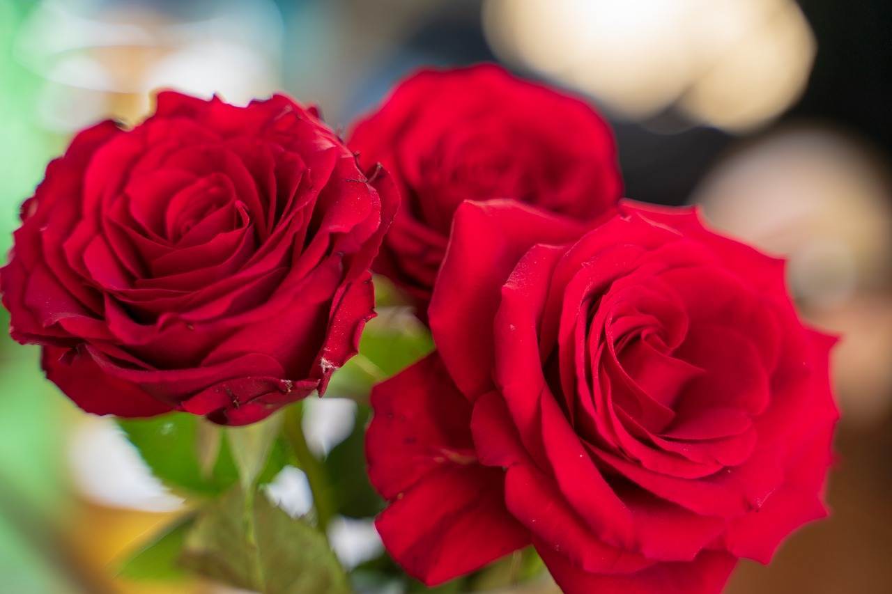 wedding-bouquet-1437