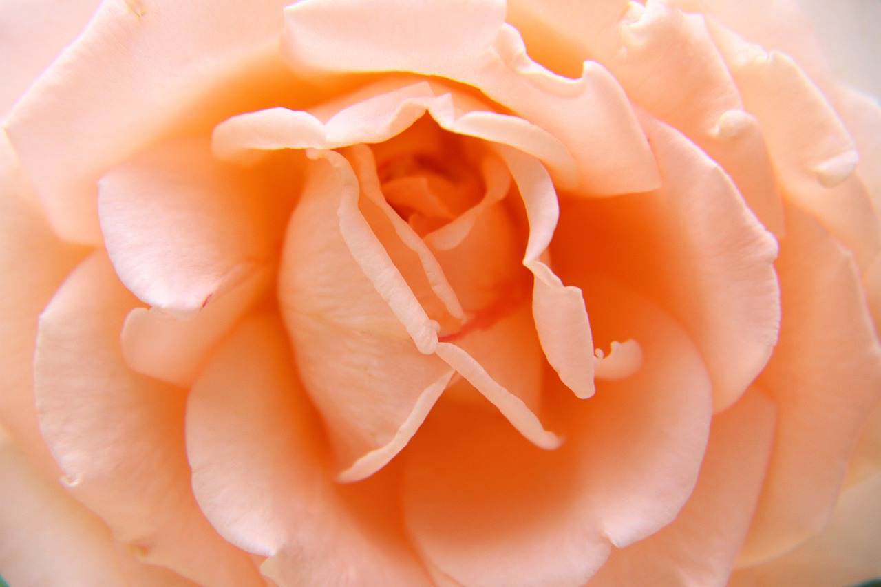 wedding-decorations-0805