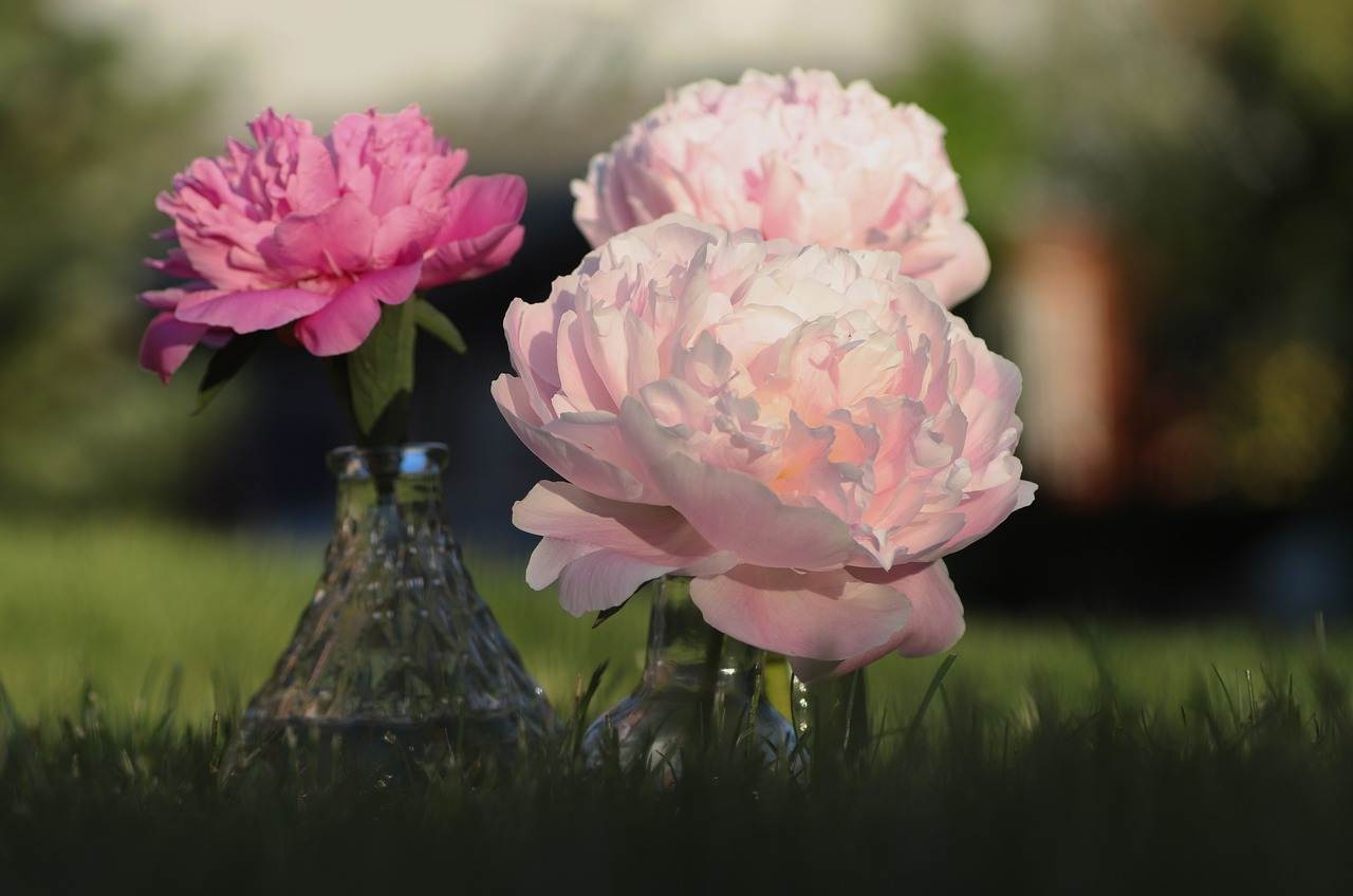 wedding-decorations-0815