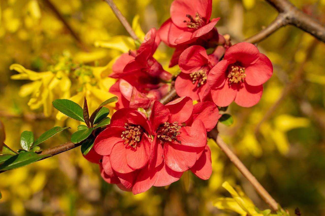 wedding-decorations-0608